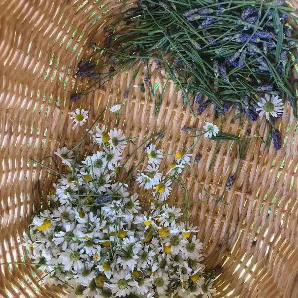 Town Farm Tonics Herbal Nervines - Calming Nervines - Herbal Actions
