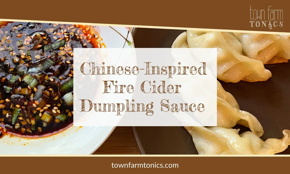 Chinese Inspired Fire Cider Dumpling Sauce