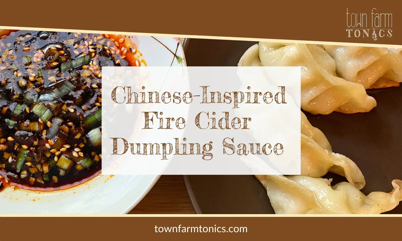 Chinese Inspired Fire Cider Dumpling Sauce