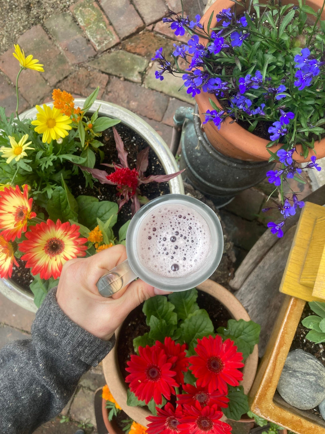 Elderberry Syrup Lemonade Recipe made with organic elderberries and local wildflower honey in westport ma