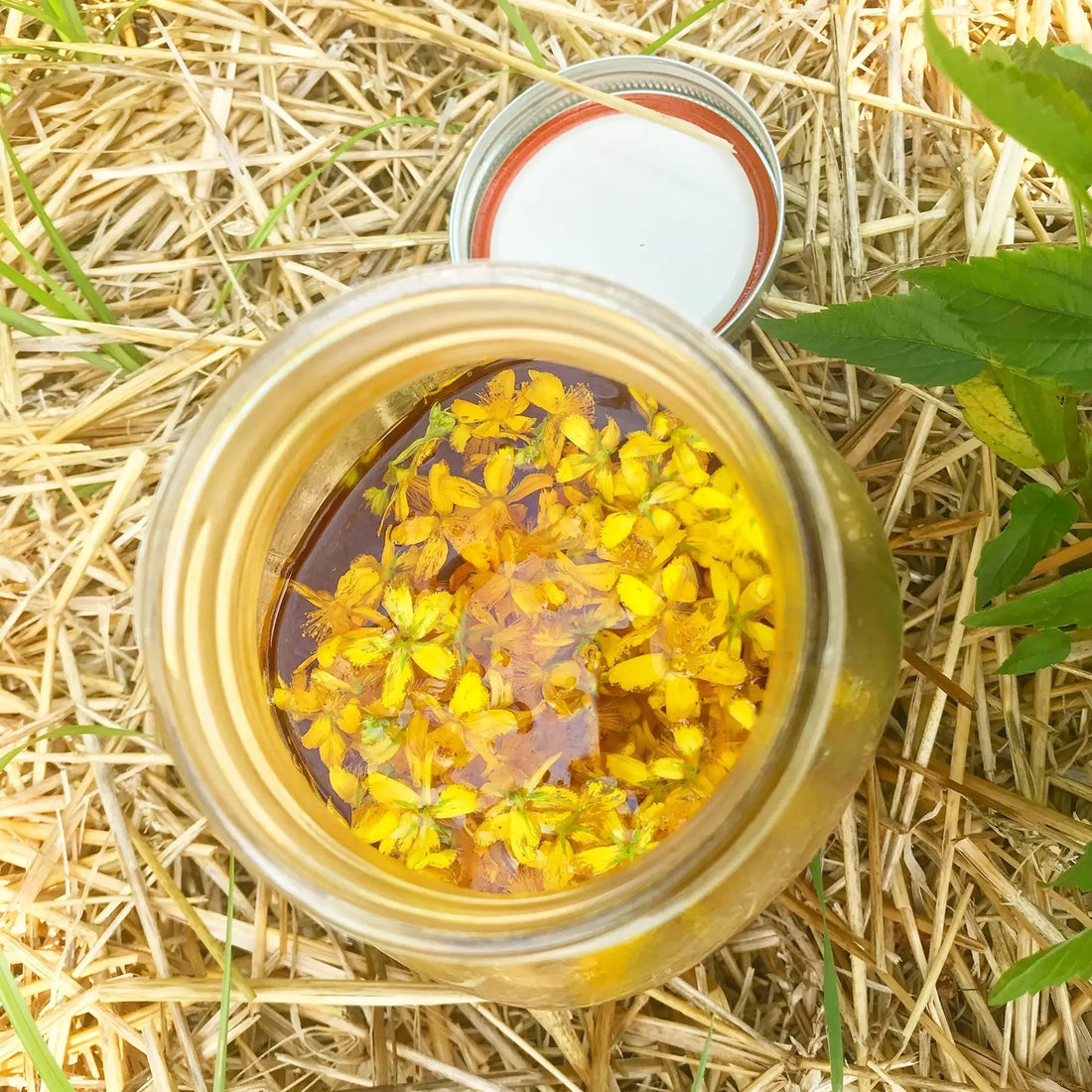 Creating your own oxymel creations using herbs, honey, and vinegar!