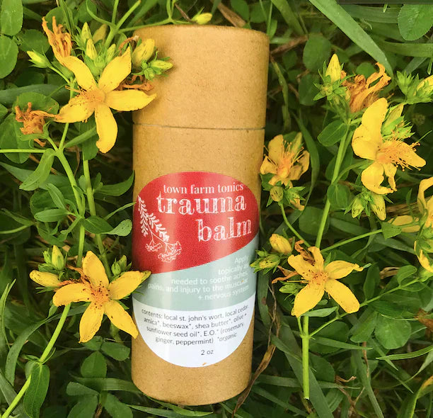 trauma balm, ache away balm, ache away herbal salve, pain relieving herbal salve, organic pain salve, natural pain relief balm, st johns wort uses