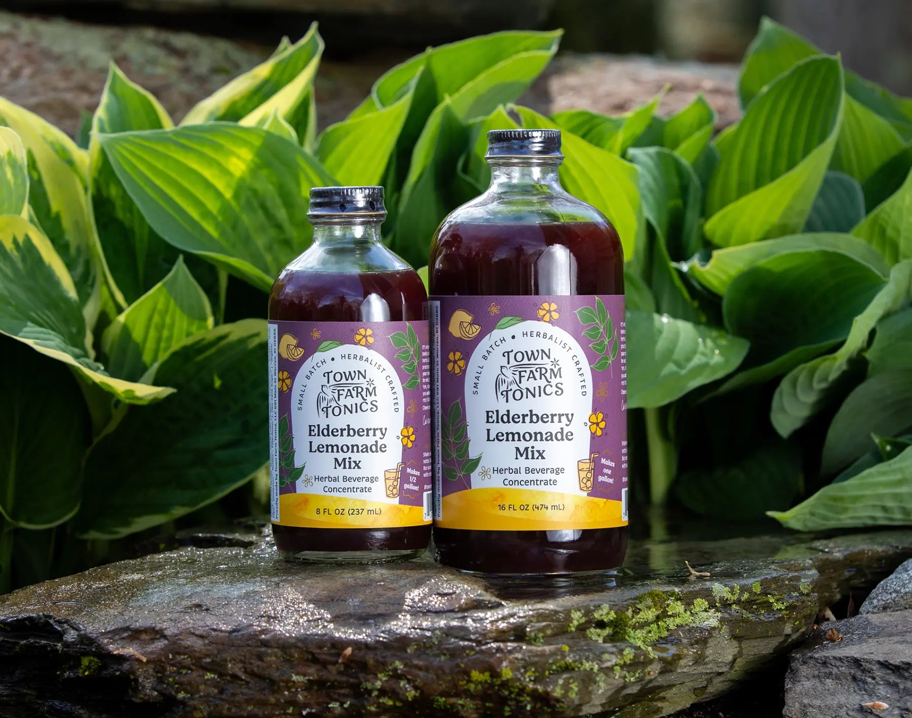 Elderberry lemonade mix in bottoles on rock