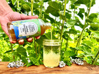 Sip & Thrive Set