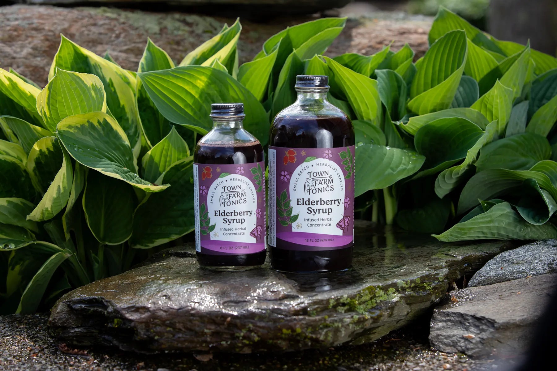 Two elderberry tonics on rock