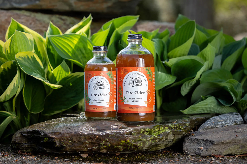 Two Fire Cider Tonics on rock