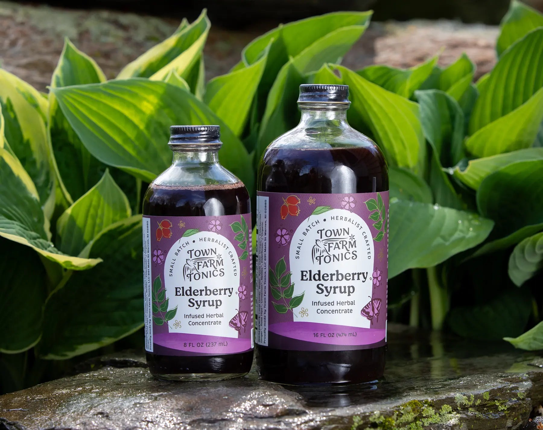 Elderberry Syrup tonics on rock