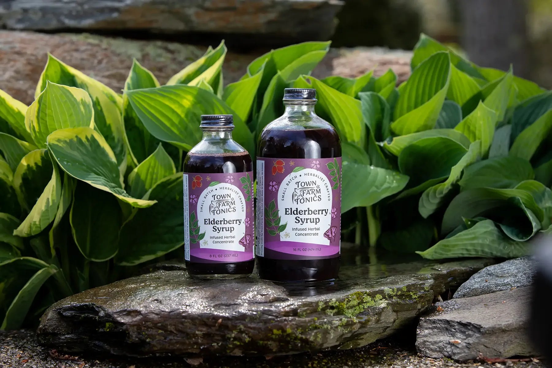 Elderberry Syrup bottles on rock