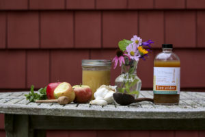 Fire Cider tonic with ingredients: garlic, onion, organic apple cider vinegar, Massachusetts wildflower honey
