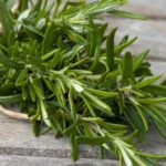 Rosemary herbal actions