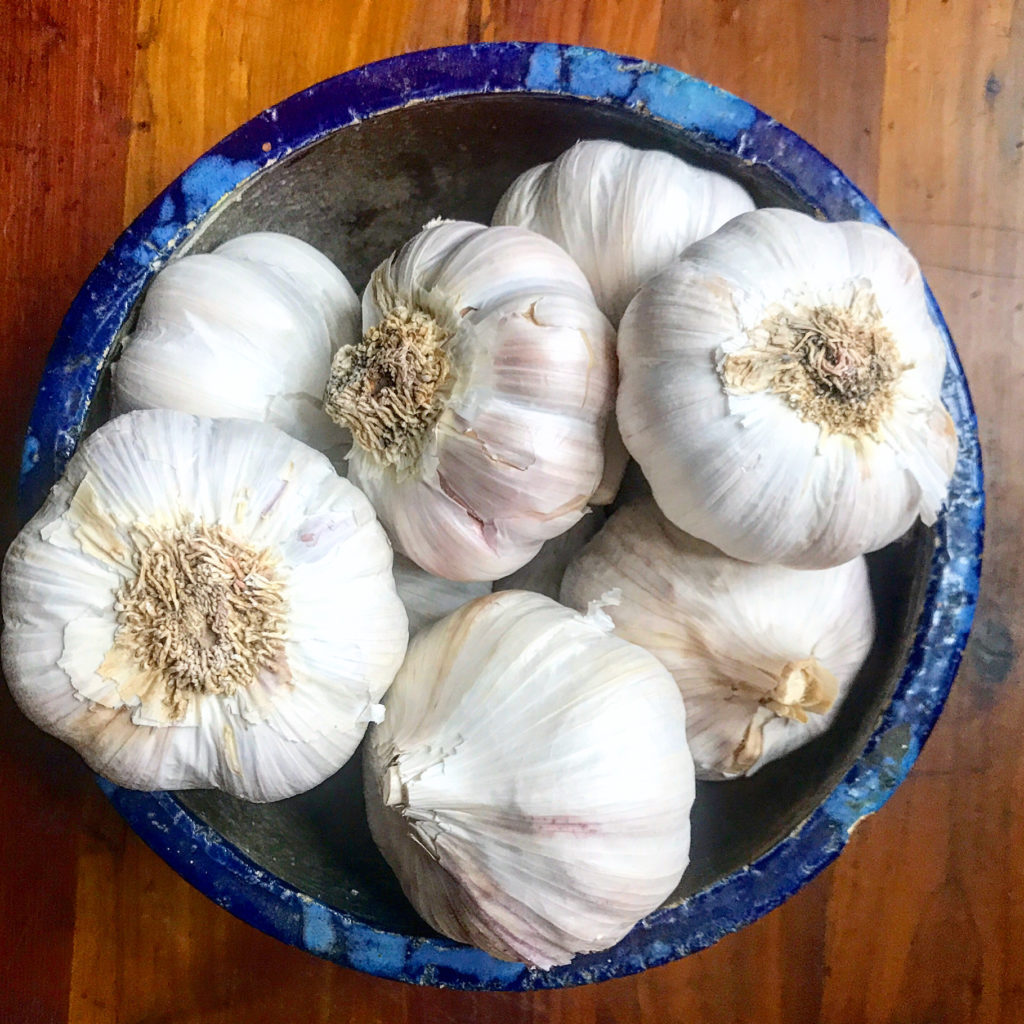 Bowl of garlic bulbs which have antiviral properties that can fight bacteria, viruses, and fungi