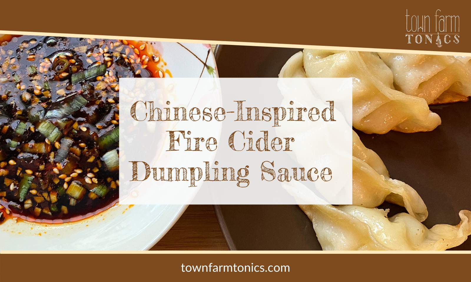 Chinese-inspired Fire Cider Dumpling Sauce Reciple