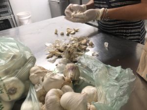 Peeling Garlic for TFT Fire Cider which alkalizes the body, eases congestion, and boosts immunity